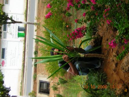 derier toi mon coueur